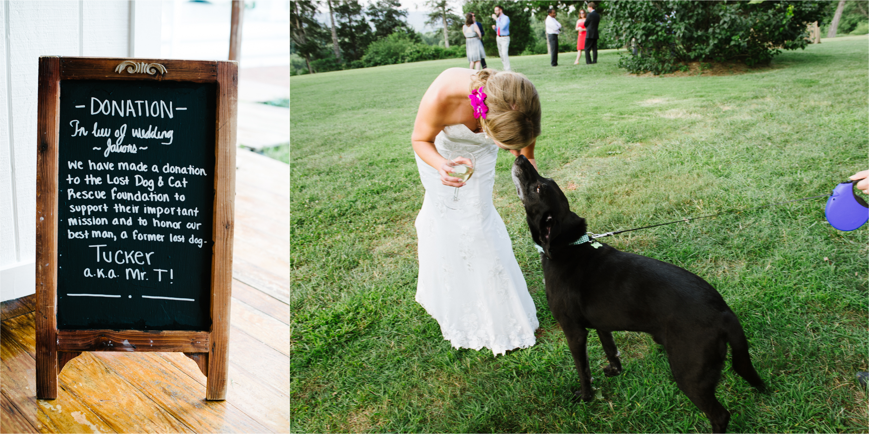 Robert Radifera Photography